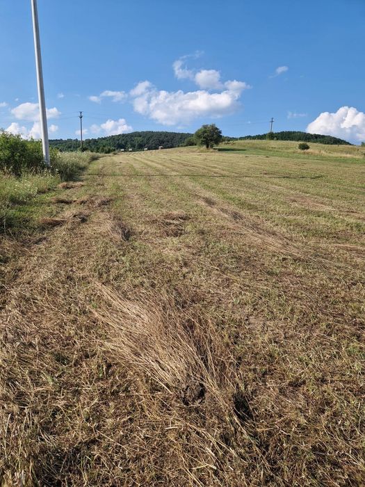 Teren intravilan ,5800 mp , Aghiresu Fabrici