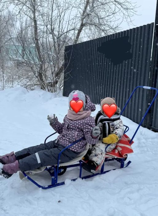 Санки двухместные