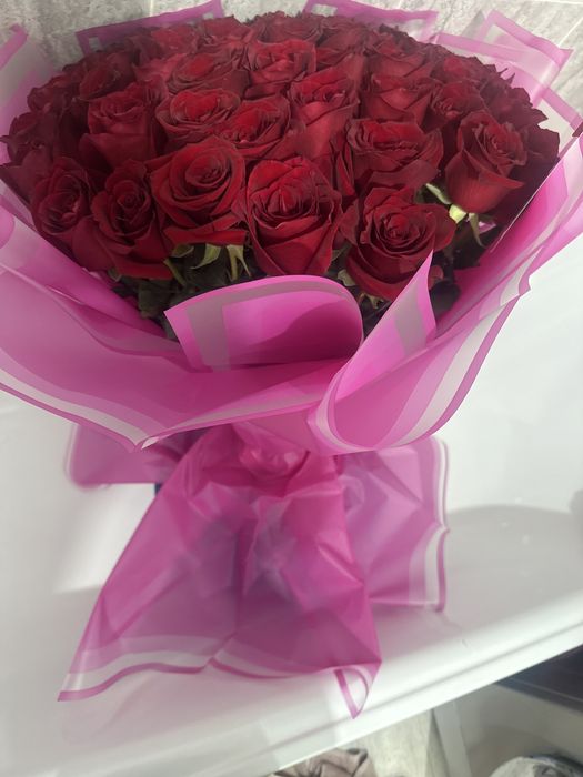 Роза красная красивая