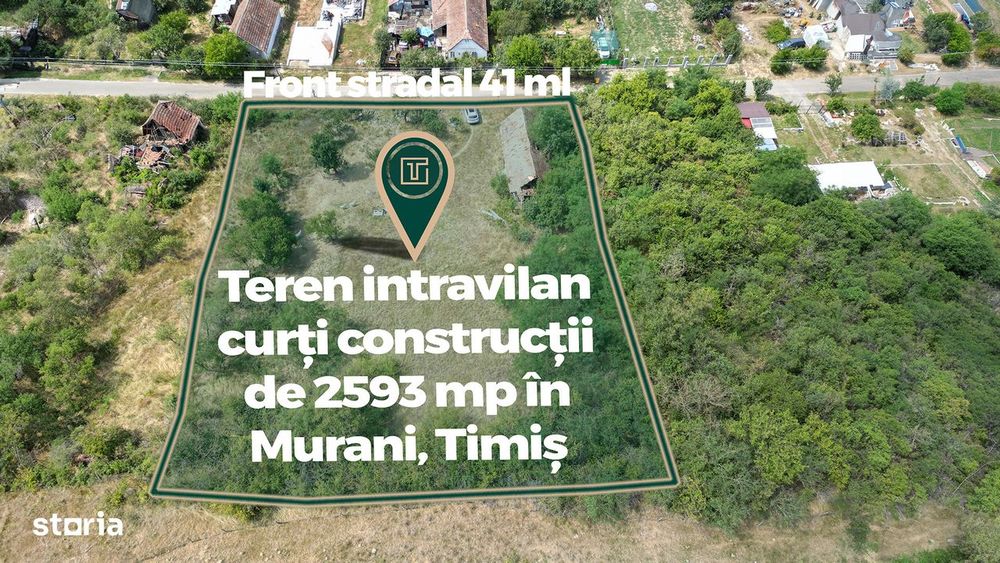Teren intravilan de 2593 mp, pe deal, cu vedere catre sat, in Murani