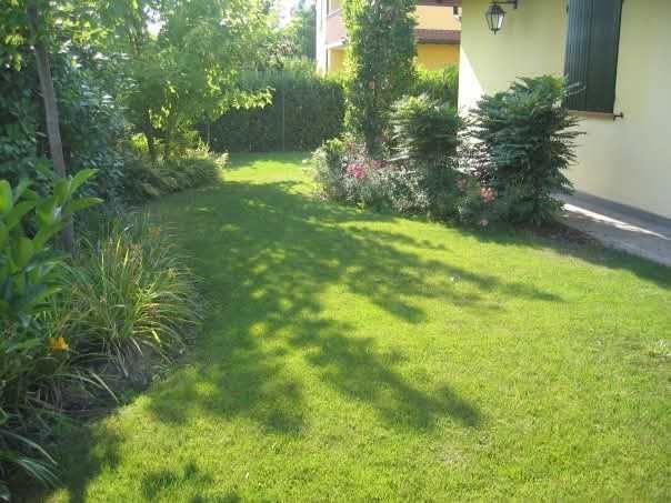 Amenajări și întreținere spații verzi