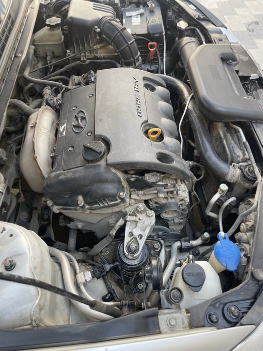 Other Avante 2008 — 8