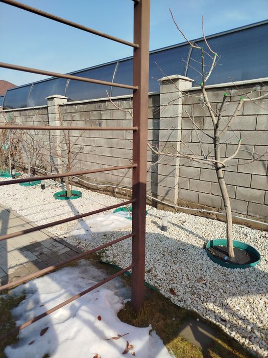 Садовник Обрезка деревьев