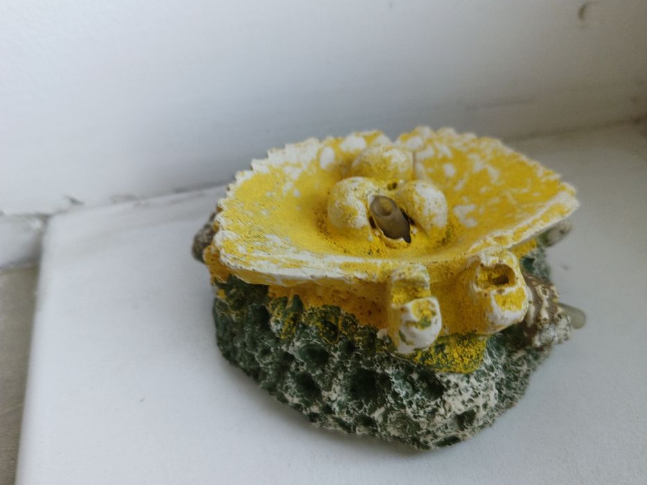 Аксессуары для аквариума