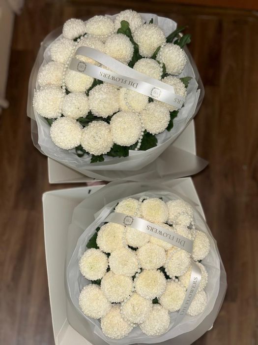 Момоко хрезантемия