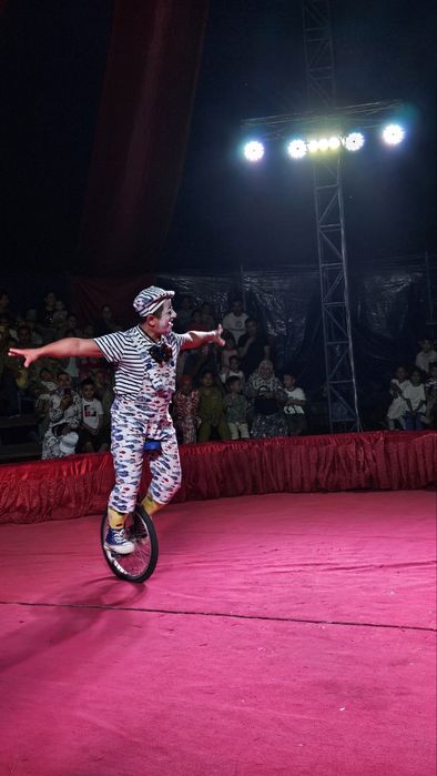 Шоу программа для вашего праздника!