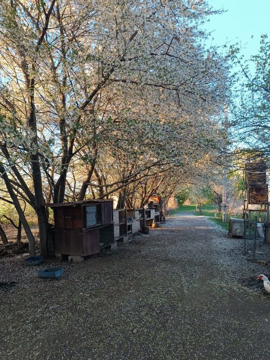 Продаётся фазенда!!!