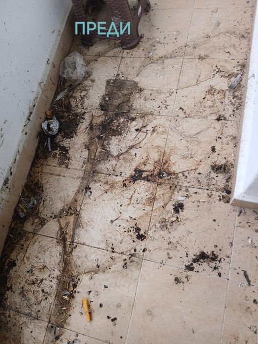 Професионално ПОЧИСТВАНЕ на жилища,офиси и МПС-та