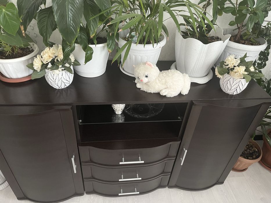 Гостевой стол со стулями и тумба