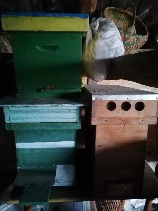 Stupi ieftini pentru albine