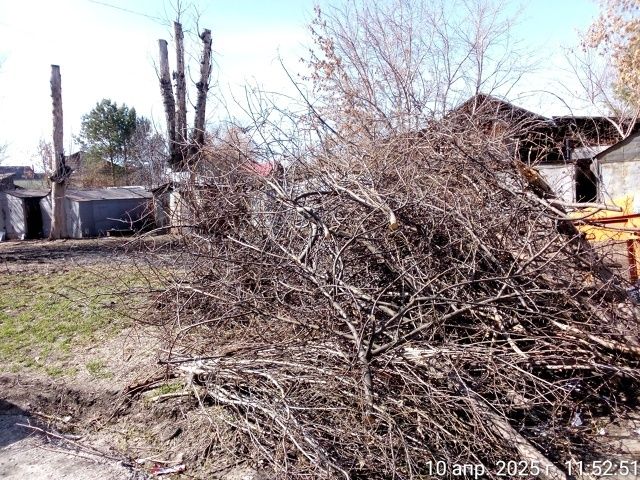 Срубим деревя,большые кусты