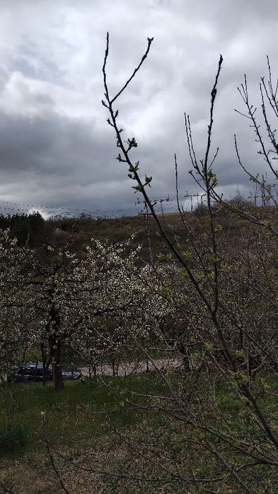 Продава се Къща в с. Кременик, Област Кюстендил - 25 кв.м за 857 €/кв.м - Снимка #7