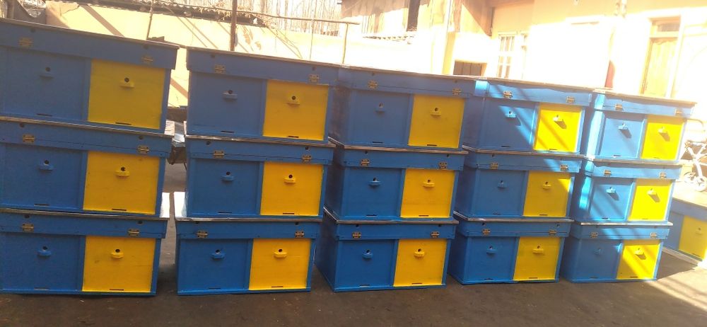 Asalarilar yashiklari