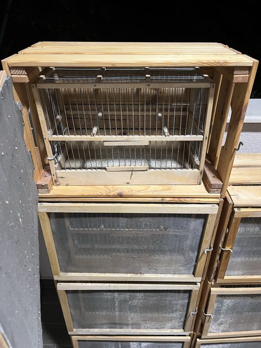 Клетка кафез за птици