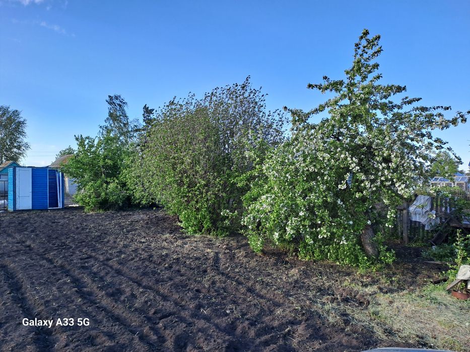 Продам дачу общество "Гудок"