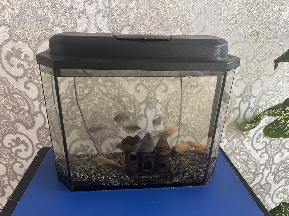 Аквариум 15 литр с рыбками