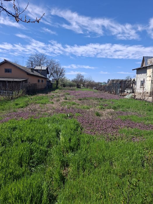 Vând teren intravilan Domnești Ilfov