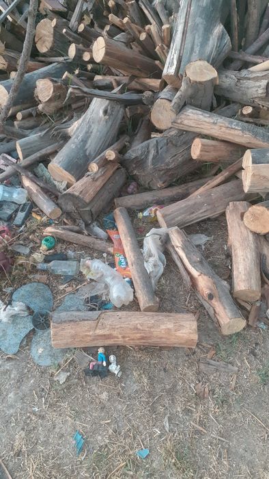 Отин бор кесилган