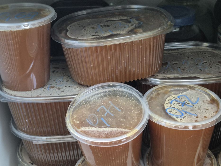 Продам свежий мед