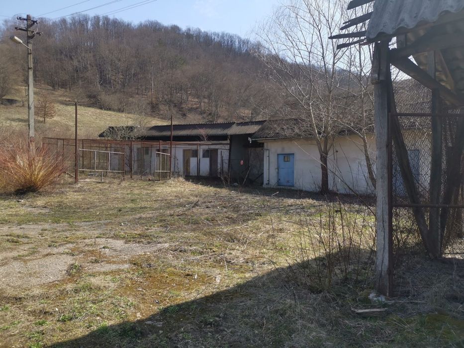 Hale cu teren (SMA)18841mp