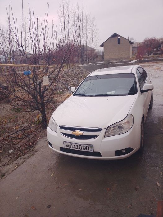 Epika 2011 yil lukus kandisaner