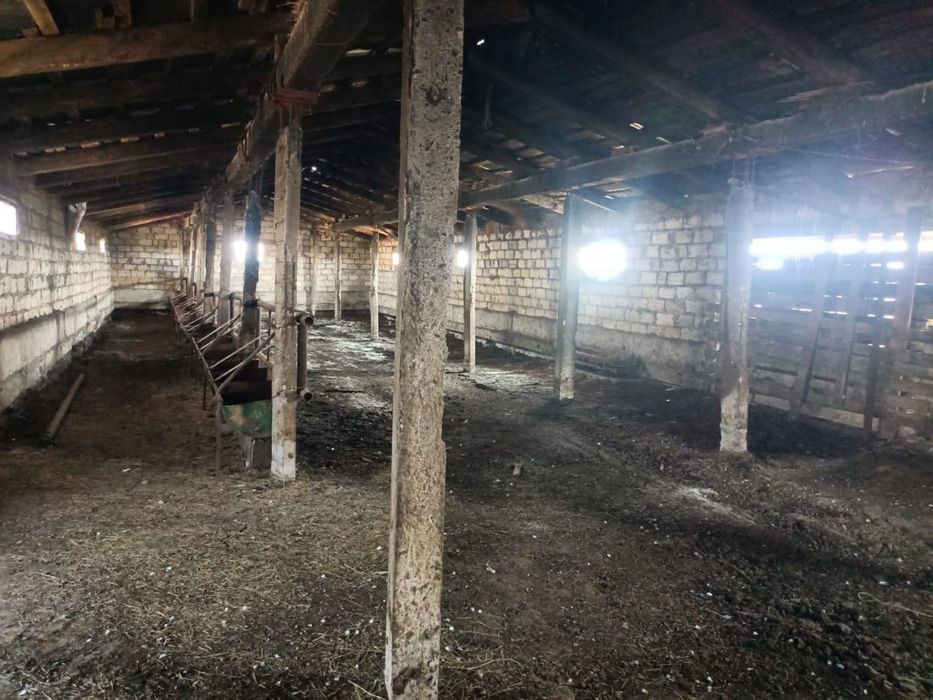 Продам КХ от города 80 км езды. Есть торг