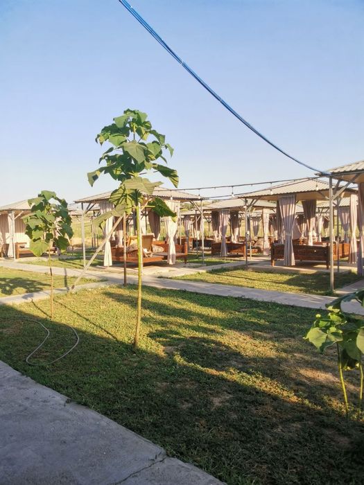 Arendaga beriladi ishlab turgan hamma abarudivinalari bor