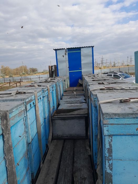 Телега пчеловодная