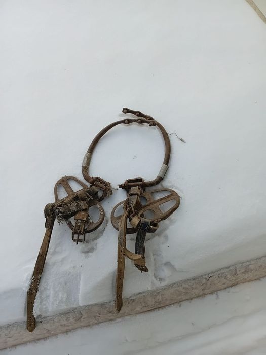 Когти монтерские