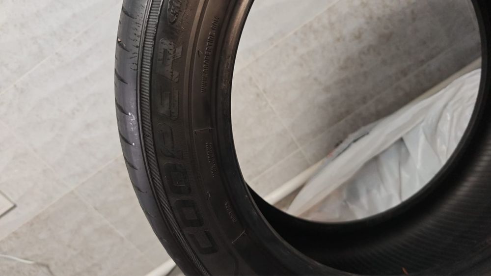 шины летние  Cooper Evolution