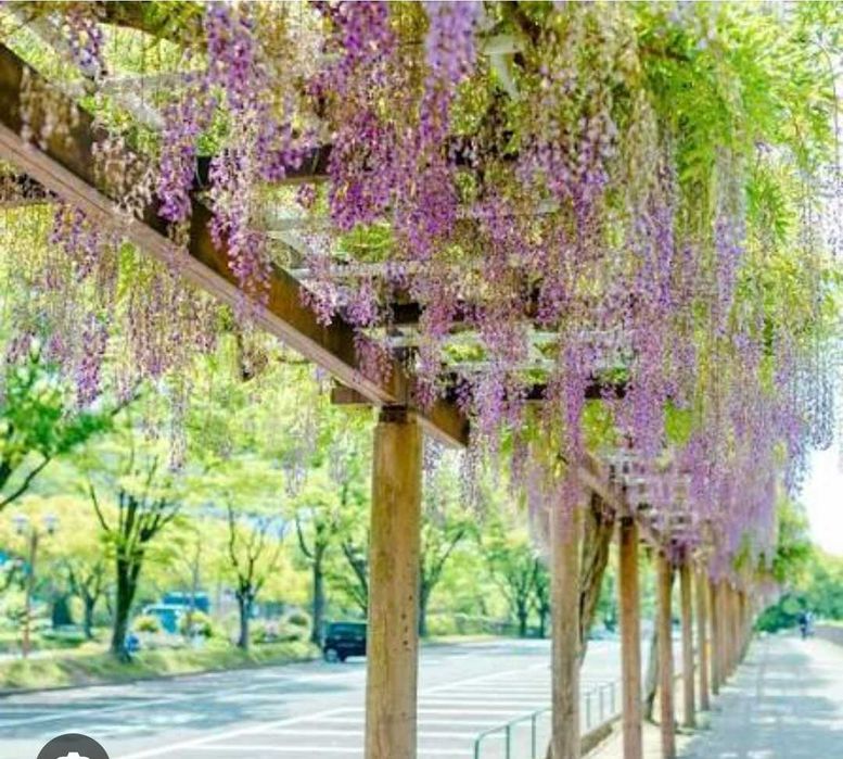 Искусственные цветы