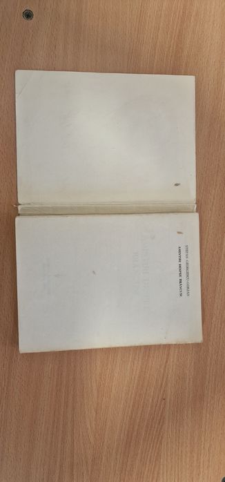 Amintiri despre Brancusi carte literatura romana