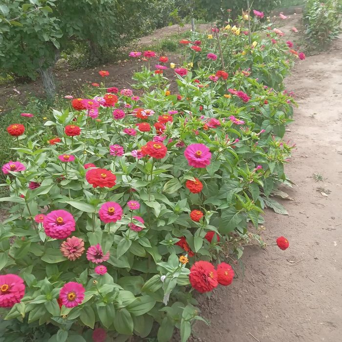 Продам дачу на Солнечной долине.