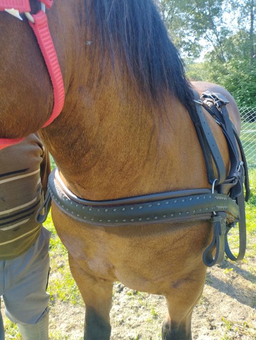 Noatină de vânzare