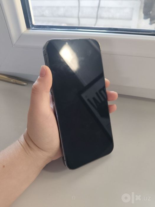 Srochna Apple 13 pro