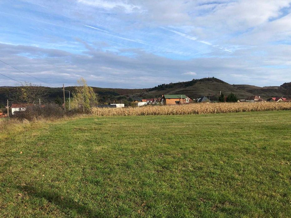 Teren pentru casa, Savadisla, 25 km de la Cluj - 1200 mp