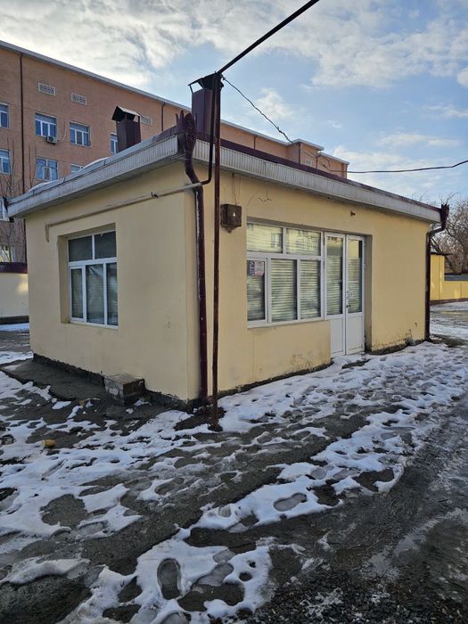 Нотурар бино  .,