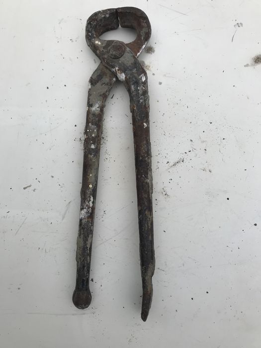 Продам барашки