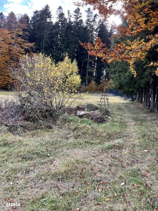 De vânzare teren Intravilan Bușteni
