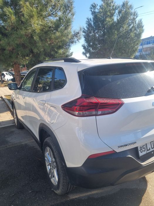 Trikir ls 2024 kraskasi tozza