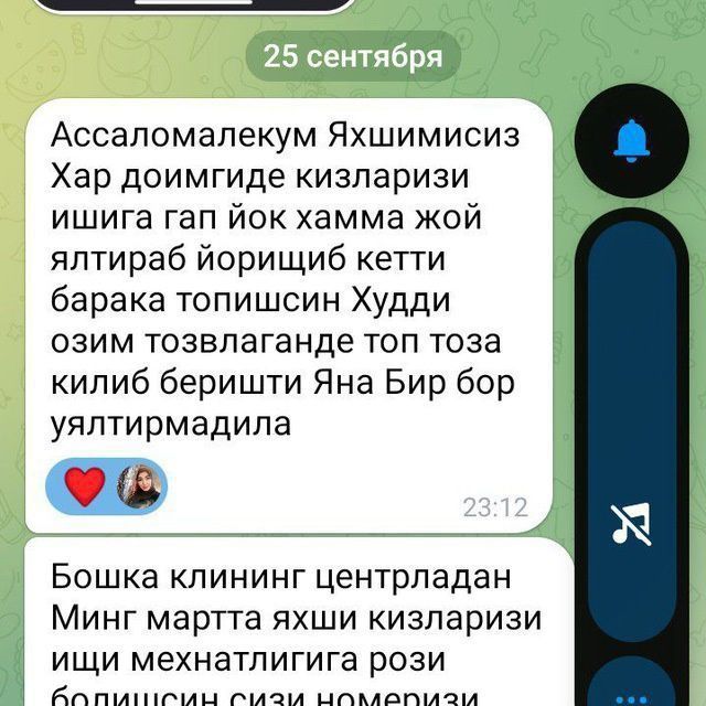 Uborka qilish,ofis-binolar tozalash,uy-hovli ishlarida yordamlashish