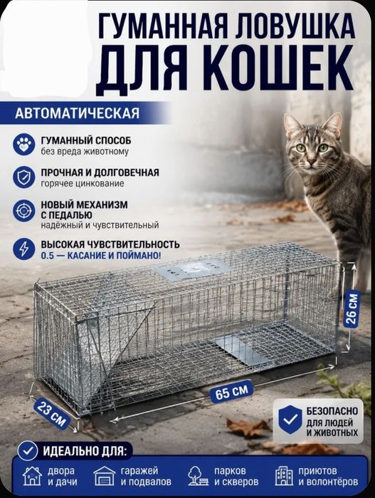 Ловушка для кошек