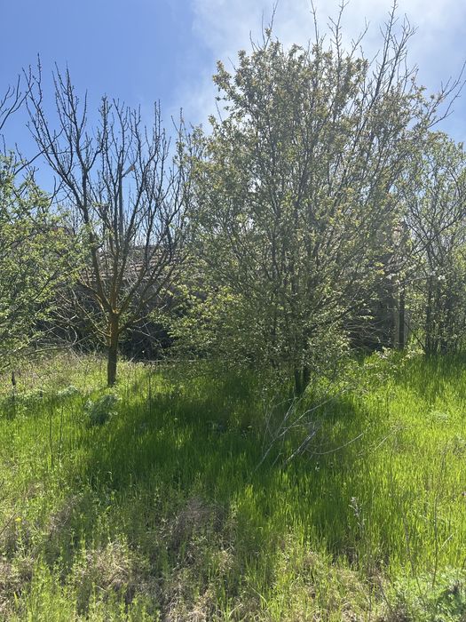 Продава се Къща в Варна, Възраждане 1 - 80 кв.м за 625 €/кв.м - Снимка #2