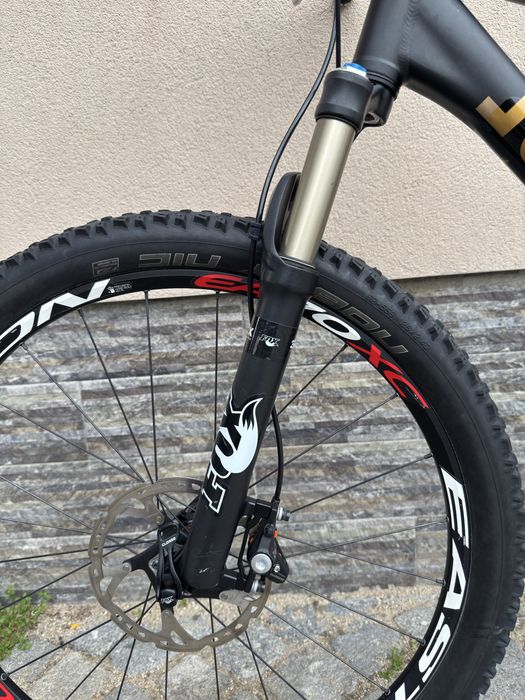 Планински твърдак Rose размер: 26/51см