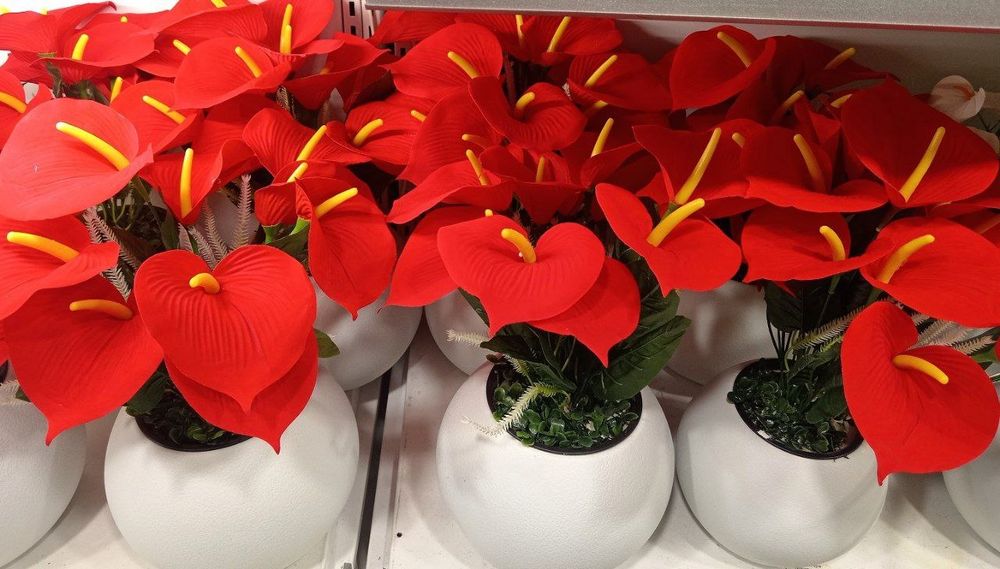 Суний гуллар ва дарахтлар олами искусственные цветы и деревья