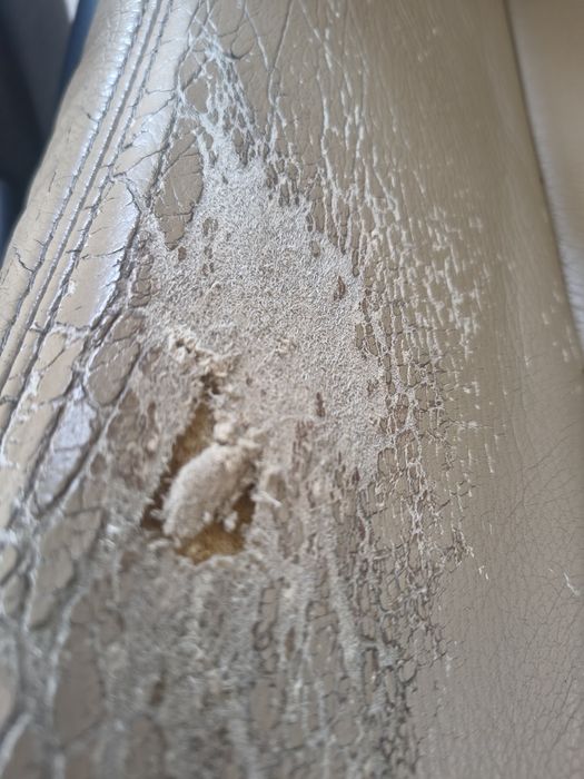 Scaune piele Toyota Auris