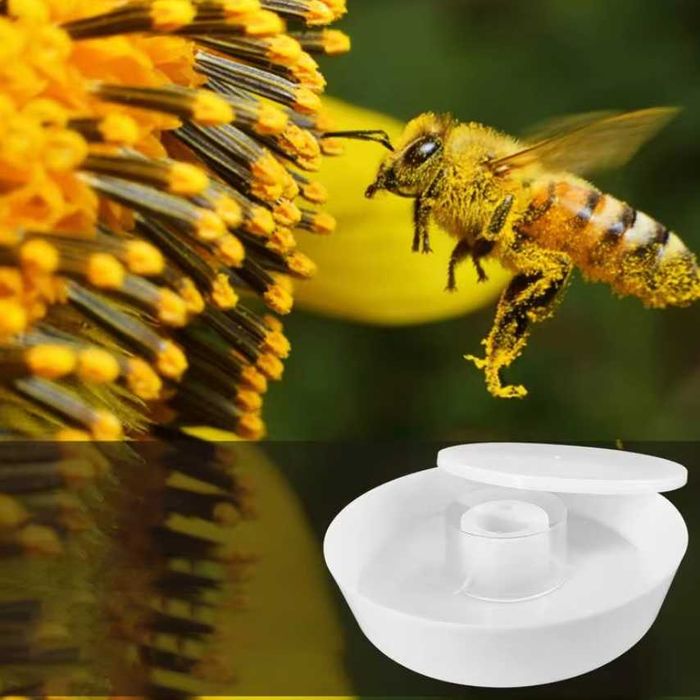 Пчелна поилка за пчелни кошери пити с мед пчелен прашец