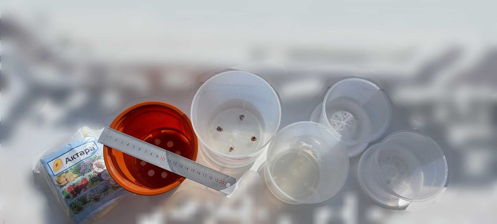 Горшки цветочные для орхидей