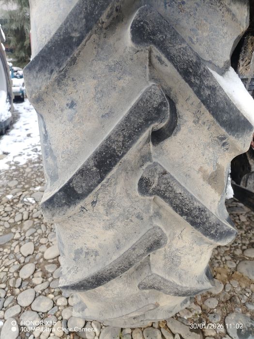 Belshina 15.5 R 38 balon sotiladi