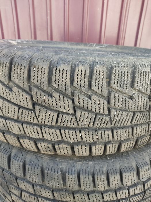 Зимние шины Cardiant